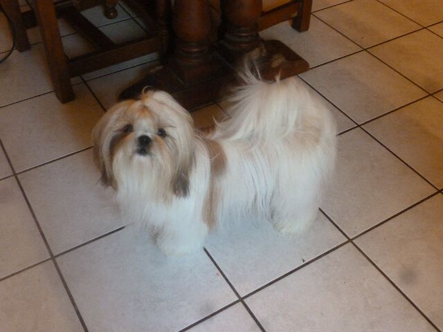 Magic-bubble Du Domaine Du Shiloh