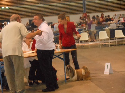 Du Domaine Du Shiloh - expo lyon 2012